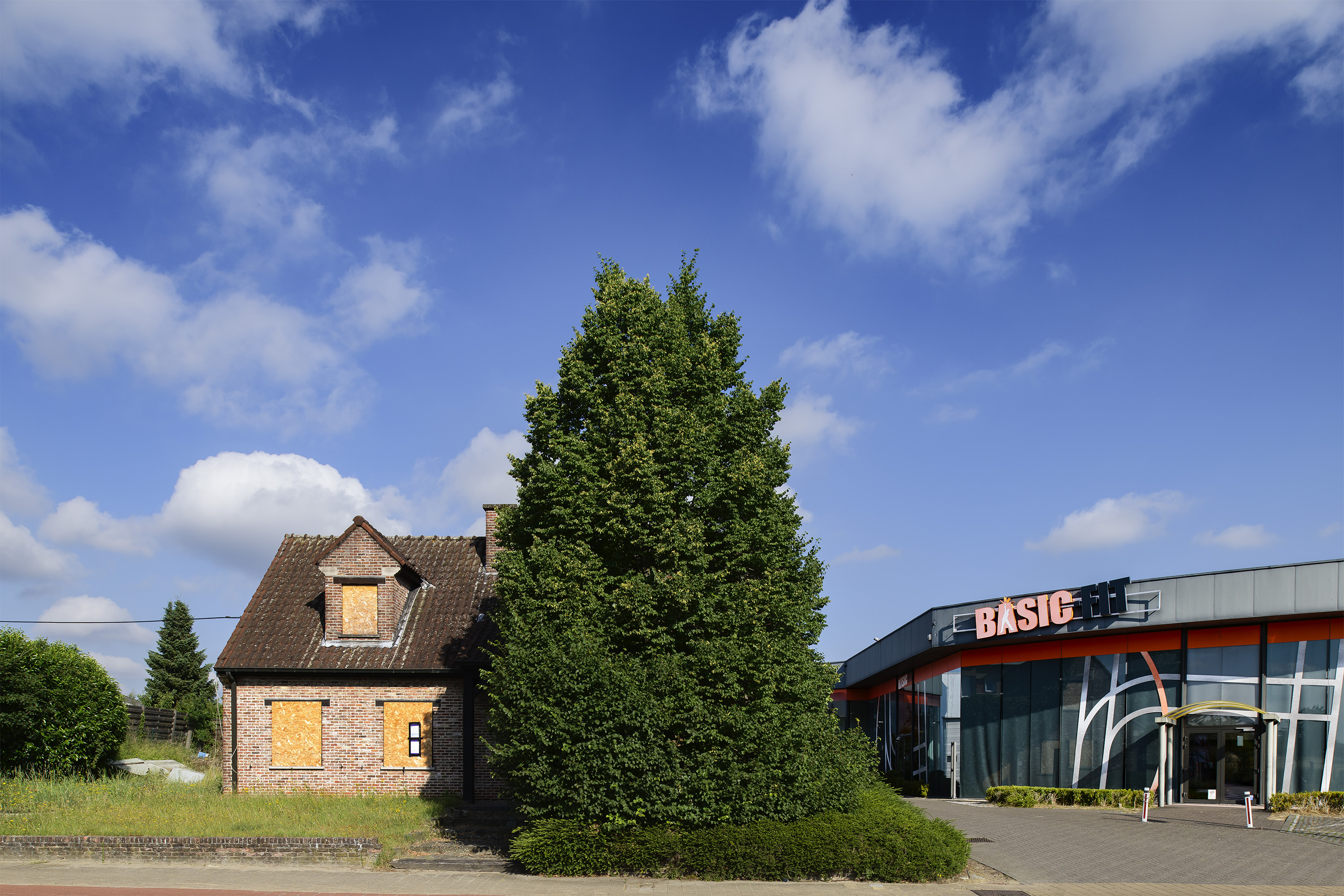 LE RING© Bram Penninckx