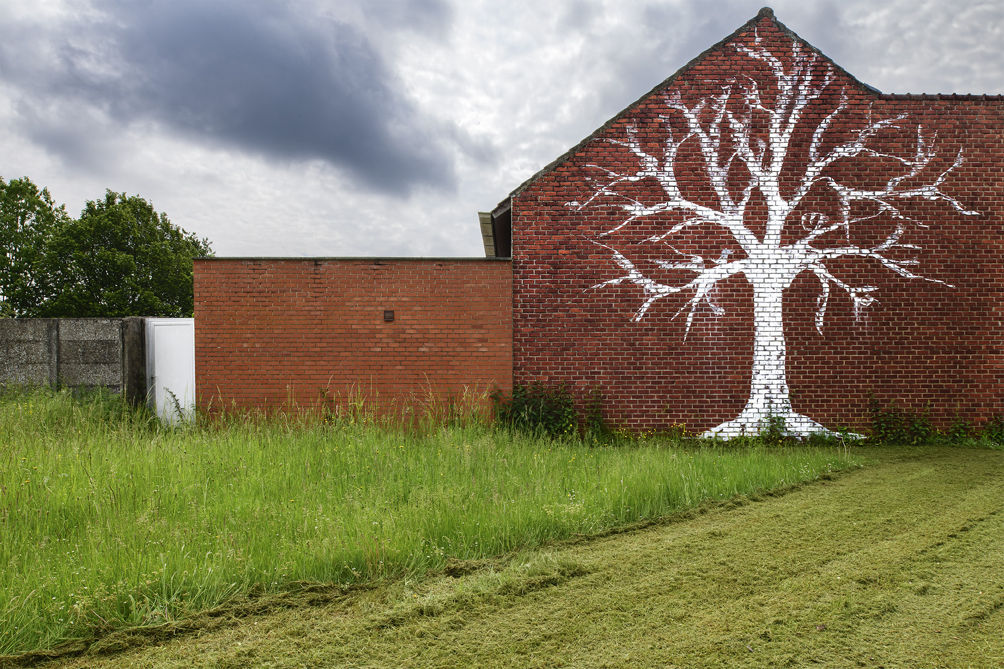 LE RING © Bram Penninckx