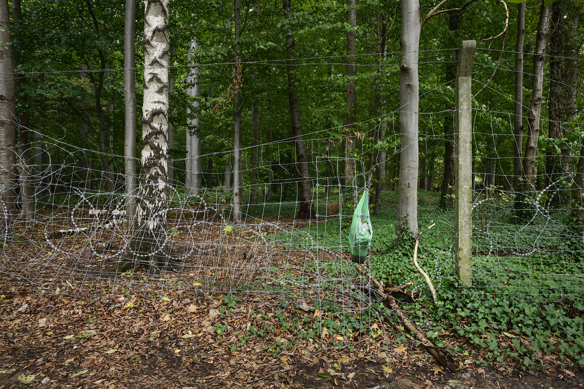 LE RING © Bram Penninckx